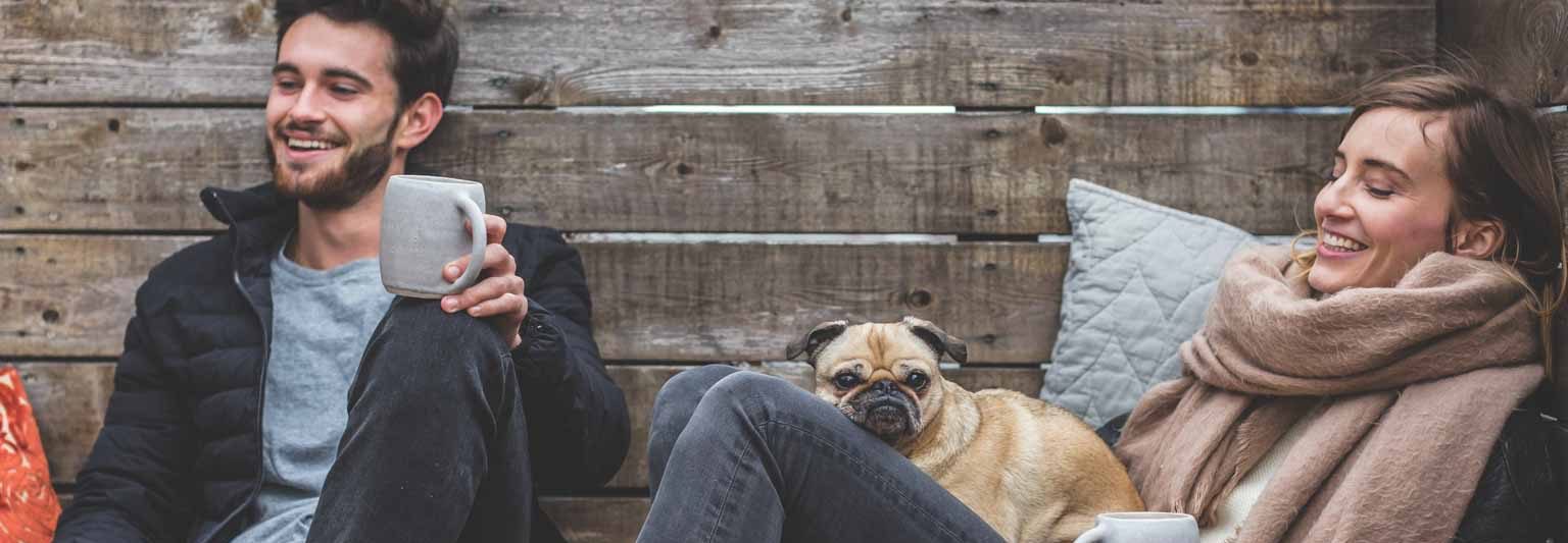 pet friendly accommodation
