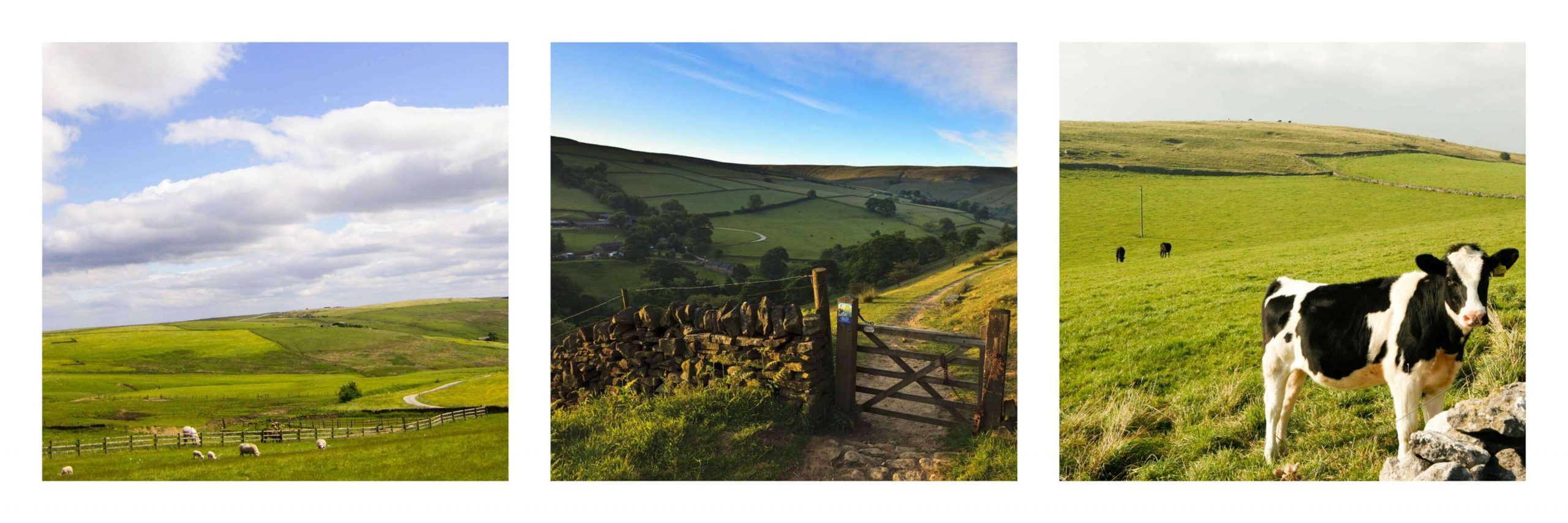 walking in the peak district