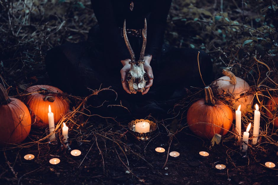 Halloween Party Houses
