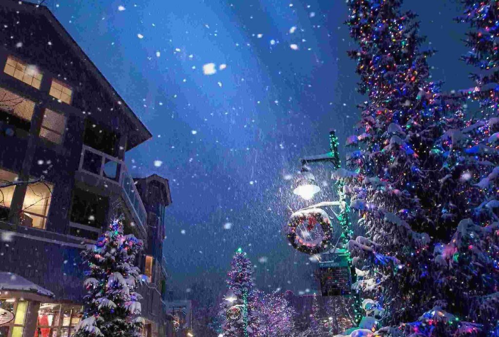 Party Houses for Christmas