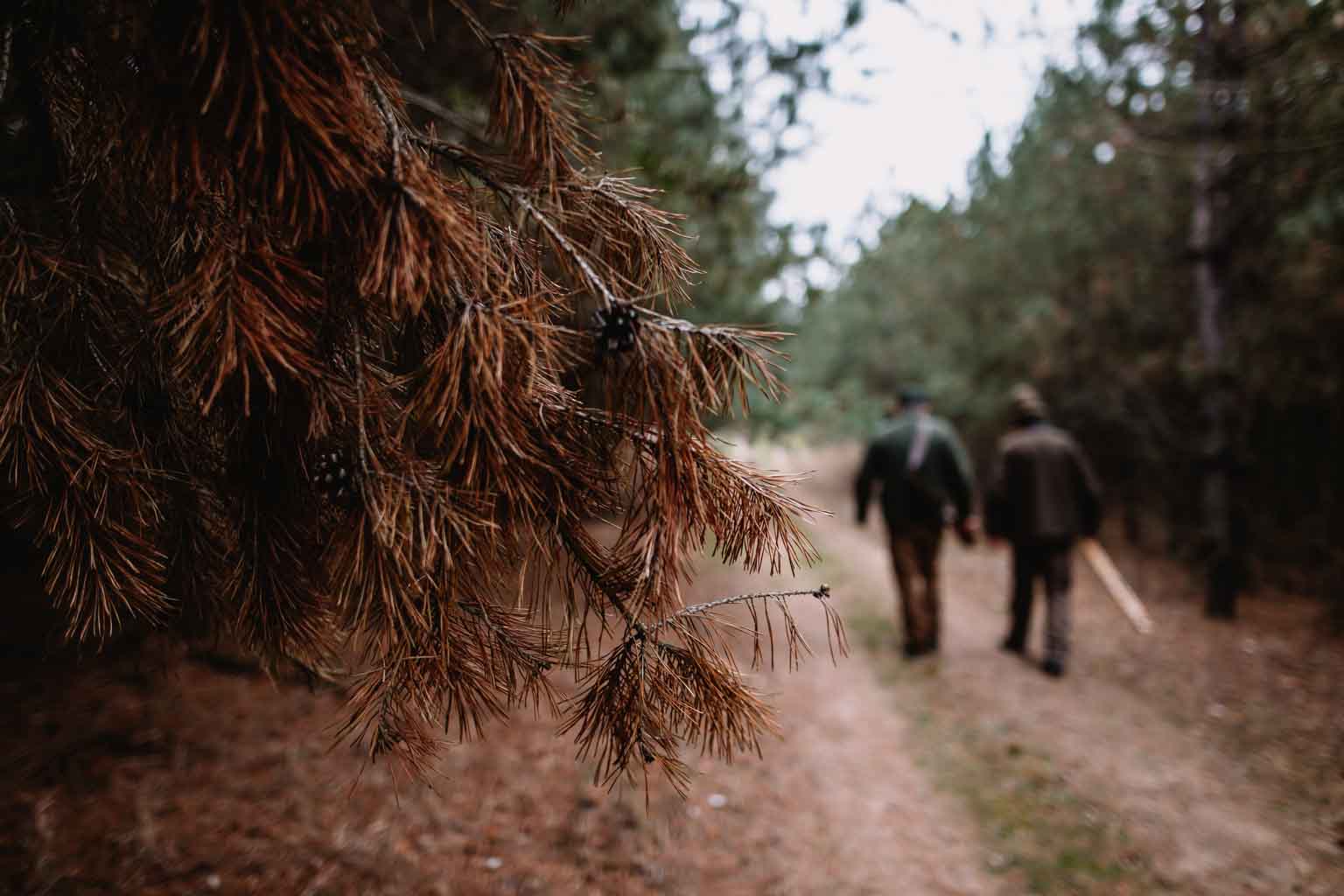 walk
